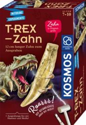 Detailansicht des Artikels: 636173 - T-rex - Zahn
