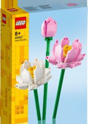Detailansicht des Artikels: 40647 - Creator Lotusblumen