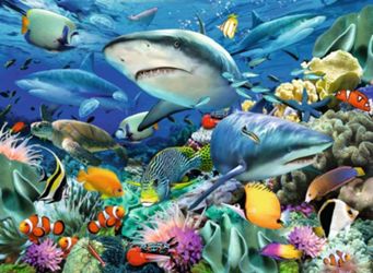 Detailansicht des Artikels: 10951 - Riff der Haie