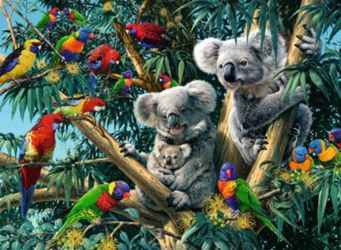 Detailansicht des Artikels: 14826 - Koalas im Baum            500