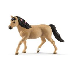 Detailansicht des Artikels: 13863 - HC Connemara Pony Stute